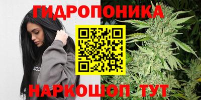 PSILOCYBIN Будённовск