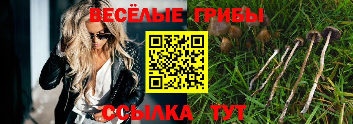 Псилоцибиновые грибы мухоморы Сергиев Посад